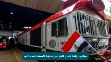 مواعيد رحلات قطار تالجو على خطوط السكة الحديد الآن